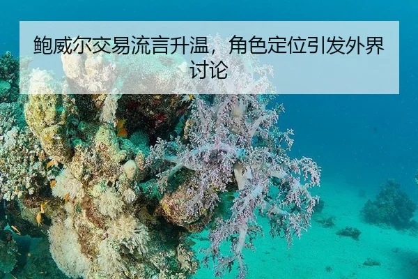 bao-wei-er-jiao-yi-liu-yan-sheng-wen-jue-se-ding-wei-yin-fa-wai-jie-tao-lun-2-466.jpg