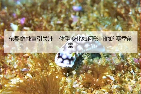 东契奇减重引关注：体型变化如何影响他的赛季前景
